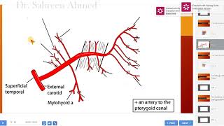 9 Anatomy of Maxillary artery and Pterygoid plexus of veins Dr Sabreen Ahmed [upl. by Kielty]