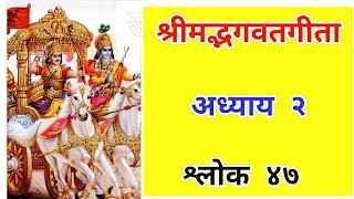 कर्मण्येवाधिकारस्ते मा फलेषु कदाचन। karmanyewadhikaraste।। Srimadbhagwatgeeta chapter2 slok47 [upl. by Mungovan]