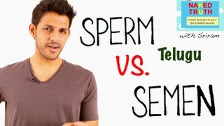 The Difference Between Sperm and Semen Telugu [upl. by Alexina]