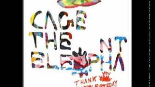 Cage The Elephant  Flow Lyrics [upl. by Brosy]