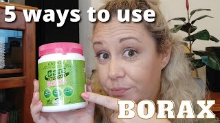 5 Ways to use BORAX  IS BORAX SAFE TO USE IN THE HOME [upl. by Lenej]