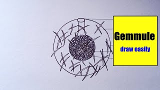 how to draw Gemmule Diagram easily  Gemmule Diagram  how to draw Gemmule Diagram step by step [upl. by Yeltihw173]