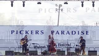 quotDitchesquot 9212024 at Walnut Valley Festival in Winfield KS [upl. by Ayoras]