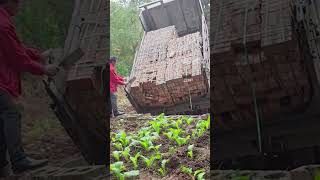 Clay fired brick unloading process [upl. by Nwahsor850]