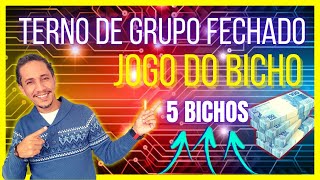 TERNO DE GRUPO COM 5 BICHOS COMBINADO DO JOGO DO BICHO [upl. by Ainivad]