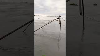 fishing 🎣🎣please subscribe my channelviralvideo video trending youtubeshorts shorts [upl. by Okun63]