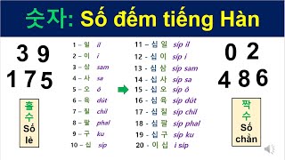 SỐ ĐẾM tiếng Hàn  한국어 숫자  korean numbers [upl. by Aicyla]