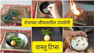 घरातील वास्तुदोष दूर करण्‍यासाठी करा हे साधे सोपे उपाय Vastu dosh nivaran upay in Marathi [upl. by Aihtnys]