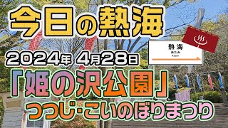 今日の熱海「姫の沢公園 つつじ・こいのぼりまつり」（20240428） [upl. by Airehtfele385]