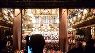 Vienna Philharmonic New Years Concert 2015 [upl. by Aloke]