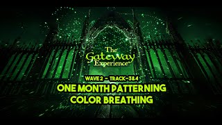 Meditate With Me  The Gateway Experience  Wave 2  Track3amp4 One Month PatterningampColor Breathing [upl. by Ramed]