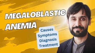 Megaloblastic Anemia  Causes  Symptoms  Diagnosis and Treatment  MLT Hub with kamran [upl. by Nahtonoj]