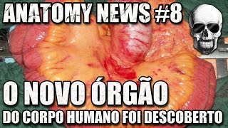 AnatomyNews 8  Foi descoberto o quotnovo órgãoquot do corpo humano o Mesentério  Anatomia Humana [upl. by Okwu]