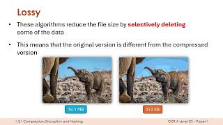 Lossy and Lossless Compression [upl. by Afatsum]