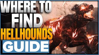 Where To Find Hellhounds In COD Modern Warfare 3 Zombies MWZ [upl. by Katlin]