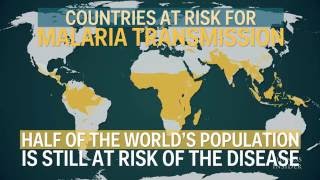 Malaria is the deadliest disease in human history [upl. by Orpha]