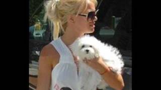 Britney Spears and her pets [upl. by Elliven]