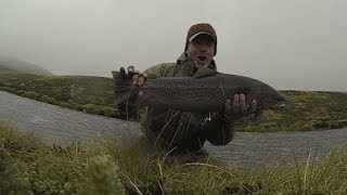 Falkland Islands Searun Brown Trout Fishing [upl. by Ellehcear925]