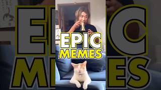 Epic Funny Memes 🤣 Daily Funny Videos pt263 [upl. by Noby]