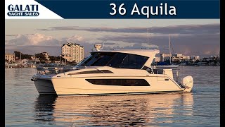 36 Aquila [upl. by Eceela]