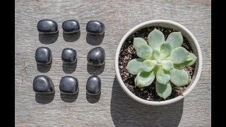 The Healing Powers of Shungite with Crystal Expert Heather Askinosie [upl. by Adnopoz]