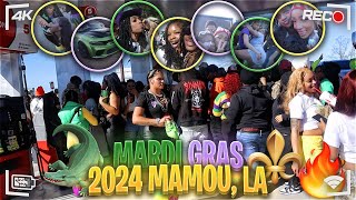 MARDI GRAS 2024  MAMOU LA ⚜️ [upl. by Aira]