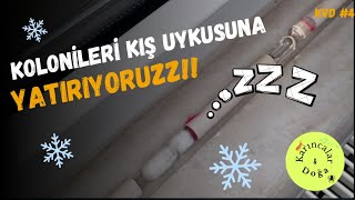 Kolonileri kış uykusuna yatırıyoruzz  Karınca kolonisi kış uykusuna nasıl yatırılır [upl. by Mmada234]