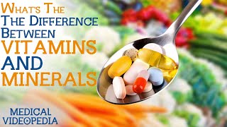 The Difference Between Vitamins amp Minerals [upl. by Aizti]