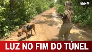 No 23º dia de buscas pelos fugitivos a chegada do cão farejador Fúria do Mato Grosso reforça a busca [upl. by Eneloj88]