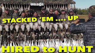 STACKED EM UP  Hired to Hunt Season 6 Hunting Limits of Ducks amp Geese at Ongaros [upl. by Adnahsor]