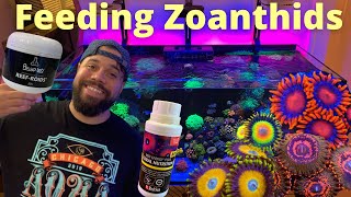 Feeding Zoanthids [upl. by Louanna]