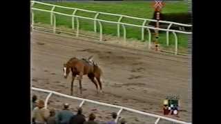 Scary Incident at Southwell Racecourse [upl. by Abdel985]