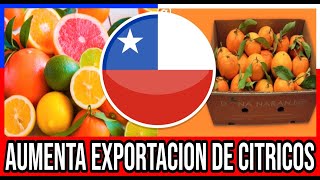 Exportaciones Chilenas de Cítricos Aumentan 48 en 2023 🇨🇱 Chile Valparaiso ViñaDelMar BioBio [upl. by Nayrda557]