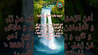 LAST Two Ayats of Surah Bakrah Recited from the Quran surahalbakrah islamicvideo islamic shorts [upl. by Akinaj341]