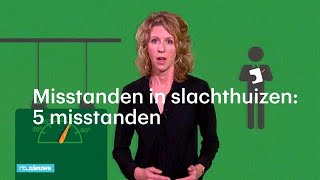 Misstanden in Nederlandse slachthuizen 5 gruwelijke voorbeelden  RTL NIEUWS [upl. by Einahteb]