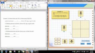 punnett square virtual lab [upl. by Calbert402]