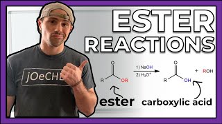 Reactions of Esters [upl. by Aekerly]