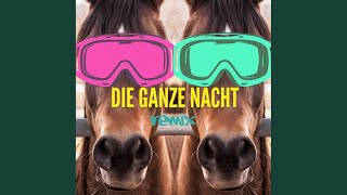 Die ganze Nacht Remix [upl. by Kerred]