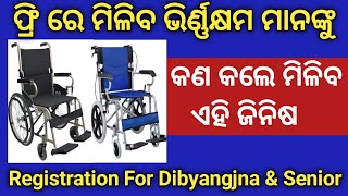 alimco csc service  REGISTRATION FORM FOR DIVYANGJANS amp SENIOR CITIZENS IN ODIA Help In Odia [upl. by Nolrak]