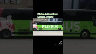 FlixBus in DownTown London Ontario [upl. by Aicnarf]