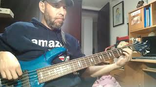 Panteón Rococó  Vendedora de caricias  Bass cover [upl. by Treboh]