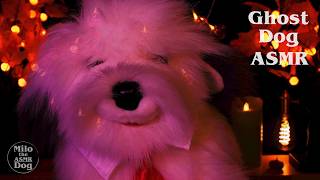 Ghost Dog Milo Halloween Special Mouth Sounds Ramblings Spooky Vibe ASMR [upl. by Odnumyer505]