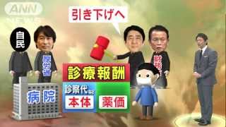 quot族議員quotは猛反発！「診療報酬」引き下げ巡り・・・131216 [upl. by Downe68]