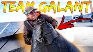 CATCHING GIANT HALIBUT  One Week in Norway  Team Galant [upl. by Ajna]