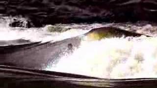 BILL BRYAN AND GAVIN SUTHERLAND RIVER SURFING [upl. by Ander]