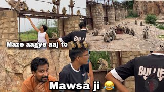 Bandar wagera ko kele 🍌 khilaye  jai bajrang bali 🙏🏻🙏🏻trending vlog viralvideo viralvideo [upl. by Hach138]