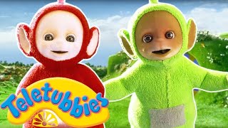 Teletubbies Nederlands  afleveringen 1 uur  kinder programmas  tekenfilms  animatie [upl. by Dermot]