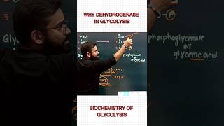 Dehydrogenase  Glycolysis  Respiration  Dr Niladri Deb  ​⁠factionbio1166 [upl. by Gunnar]