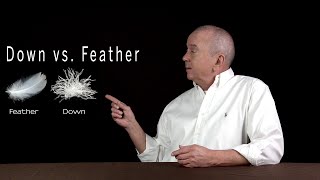 Down vs feather The differences are explained here [upl. by Ran619]