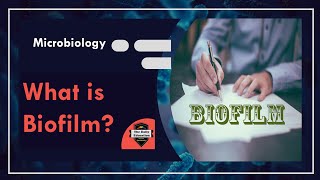 What is Biofilm  Microbiology [upl. by Ezzo]